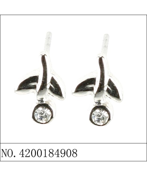 Earrings Earrings