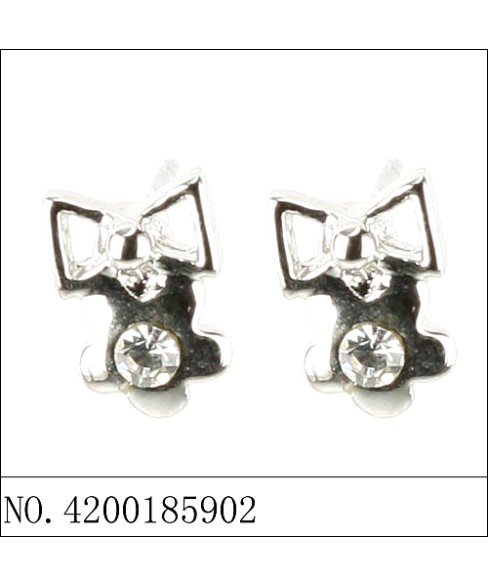 Earrings Earrings