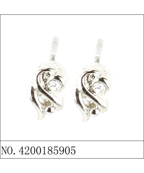 Earrings Earrings