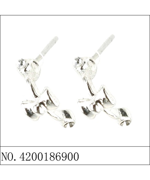 Earrings Earrings