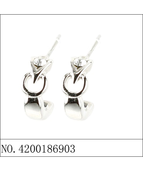 Earrings Earrings
