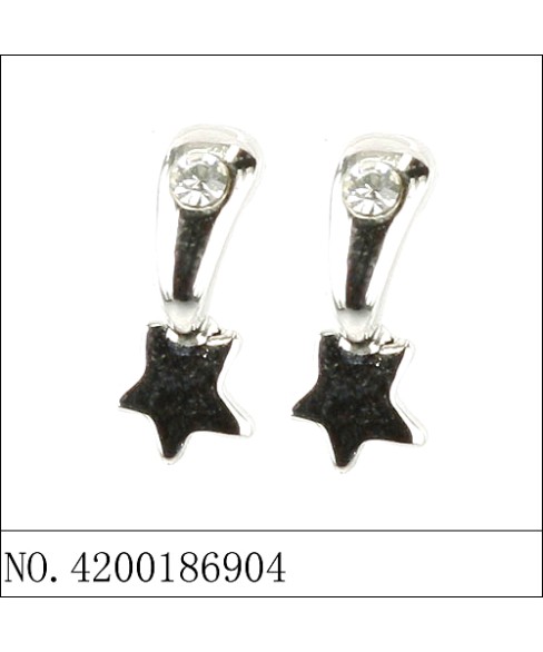 Earrings Earrings