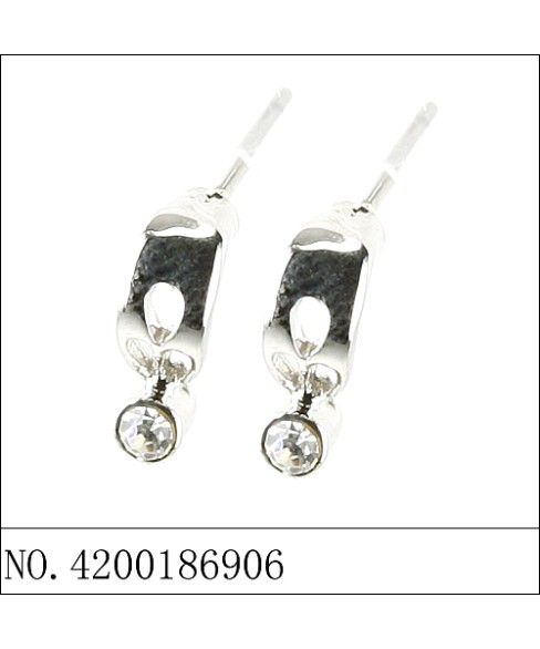 Earrings Earrings