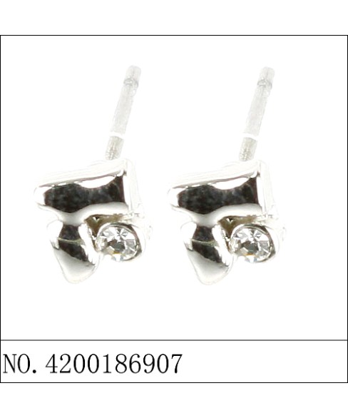 Earrings Earrings