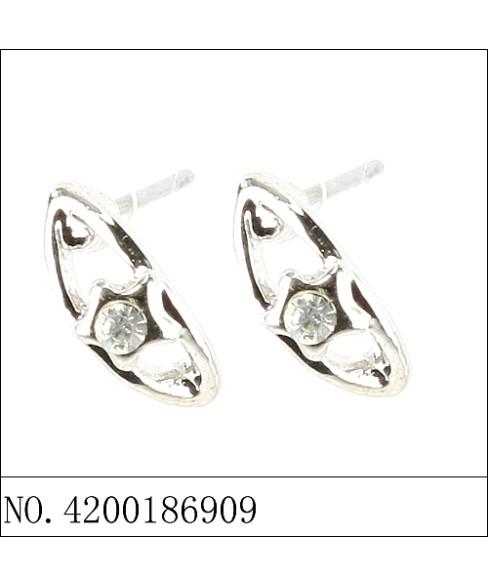 Earrings Earrings