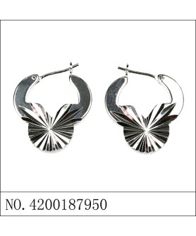 Earrings White Gold