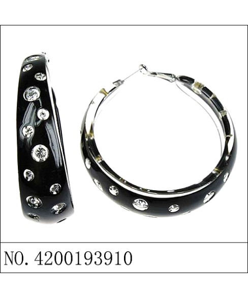 Earrings Black Earrings Black