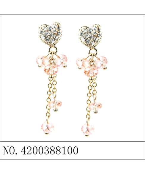 Earrings Earrings