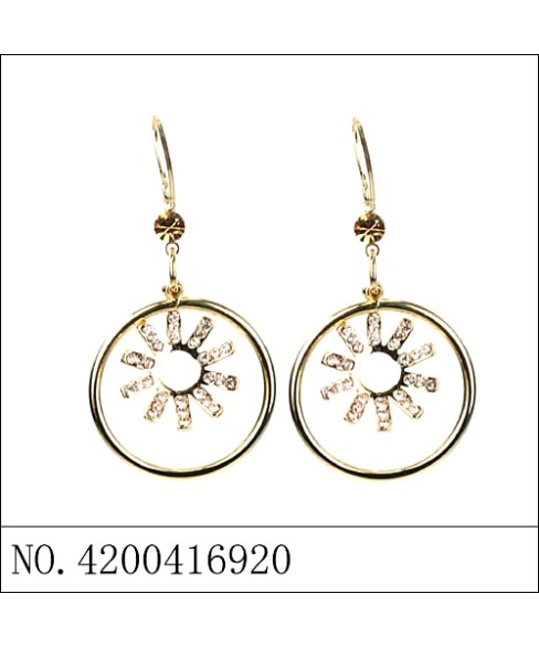 Earring Earring