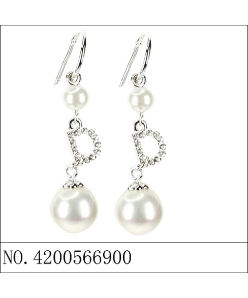 Earrings Earrings