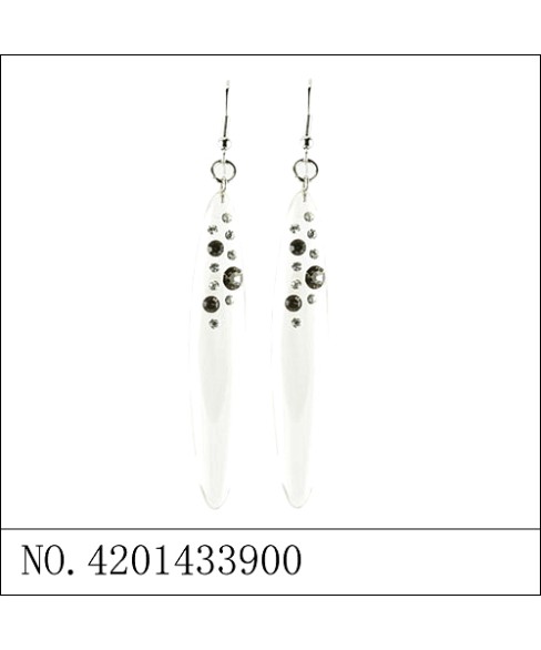 Earrings Gray