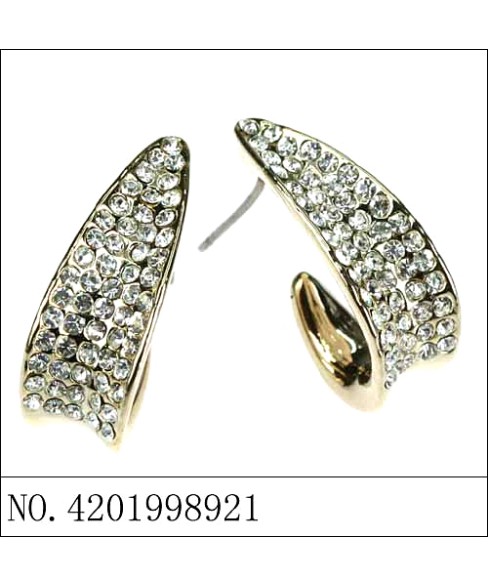 Earrings Earrings