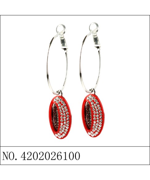 Earrings Earrings
