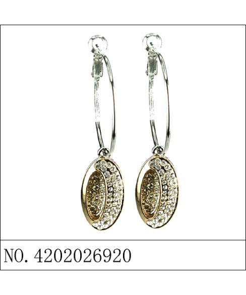 Earrings Earrings