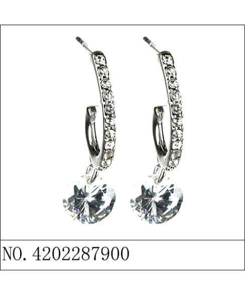Earrings Earrings