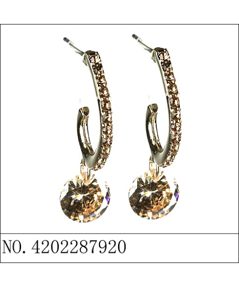 Earrings Earrings