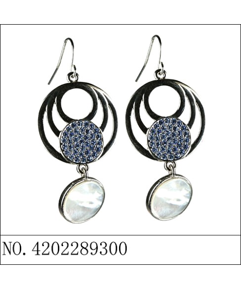 Earrings Earrings