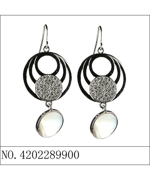 Earrings Earrings
