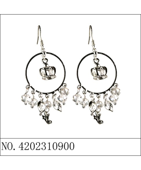 Earrings Earrings