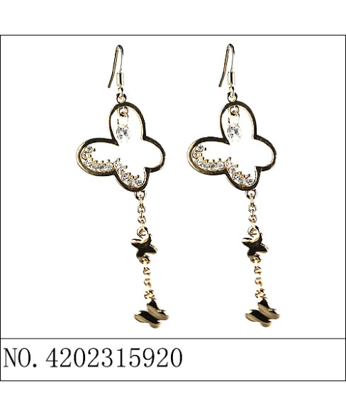 Earrings Earrings