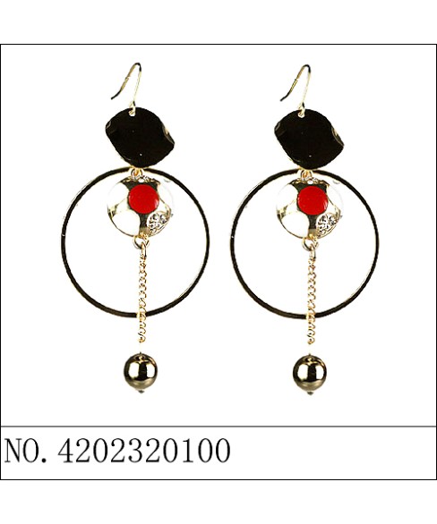 Earrings Earrings