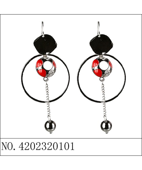 Earrings Earrings