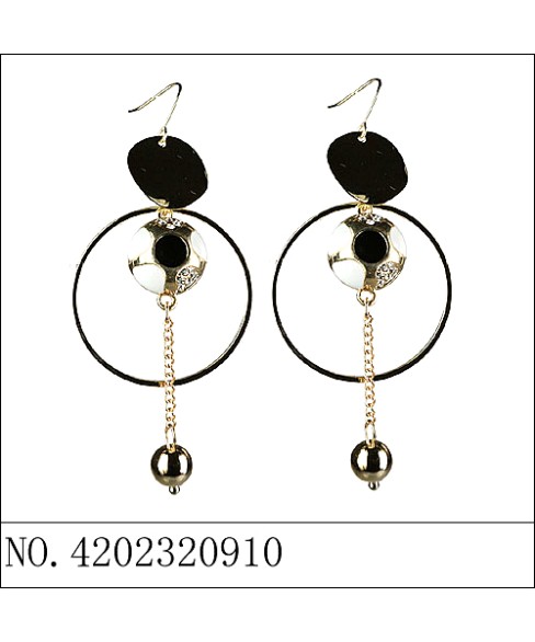 Earrings Earrings