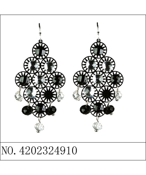 Earrings Earrings