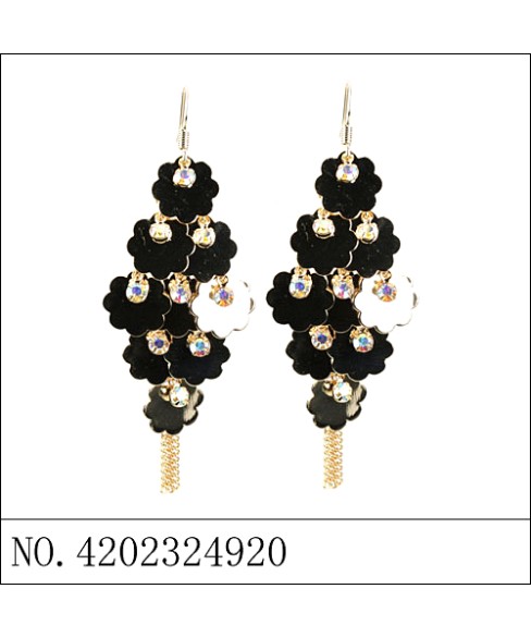 Earrings Earrings