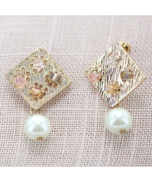 Earrings Brown Earrings Brown