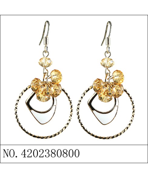 Earrings Earrings