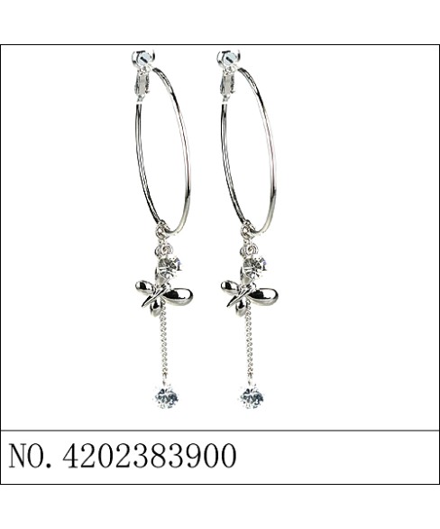 Earrings Earrings