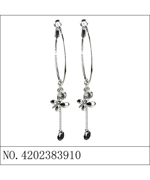 Earrings Earrings