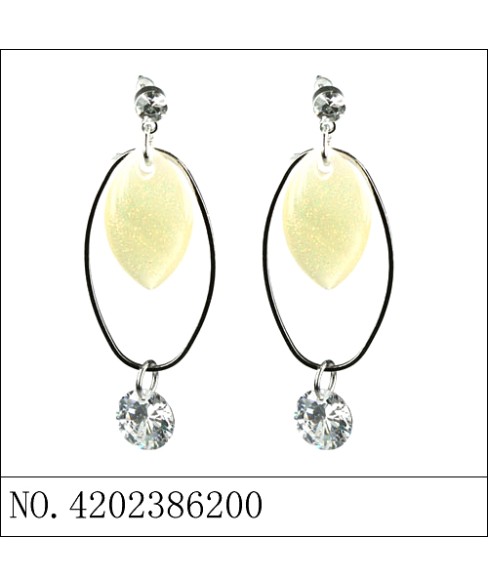 Earrings Earrings