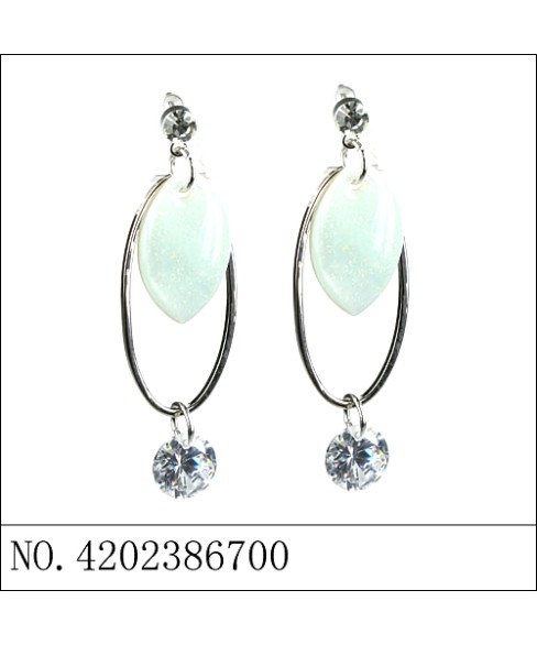 Earrings Earrings