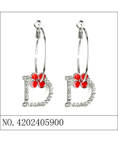 Earrings Earrings