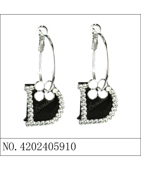 Earrings Earrings