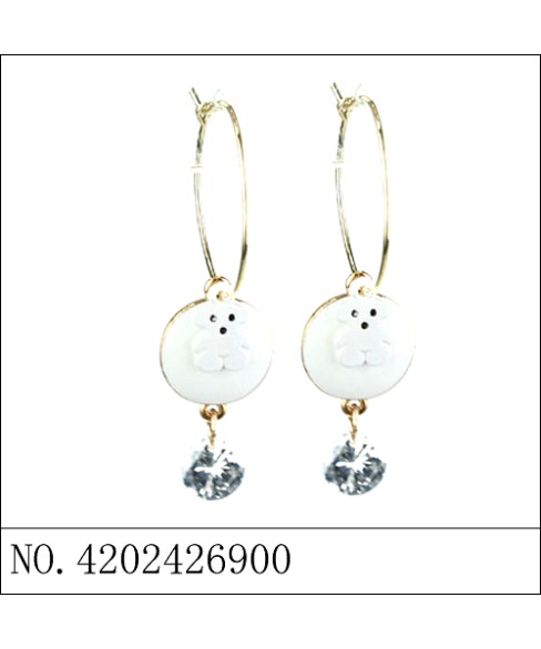 Earrings Earrings