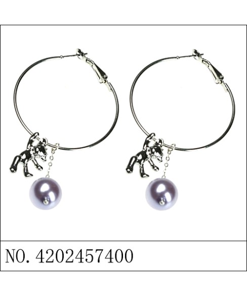 Earrings Earrings