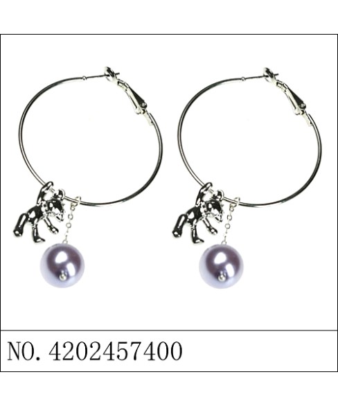 Earrings Gray