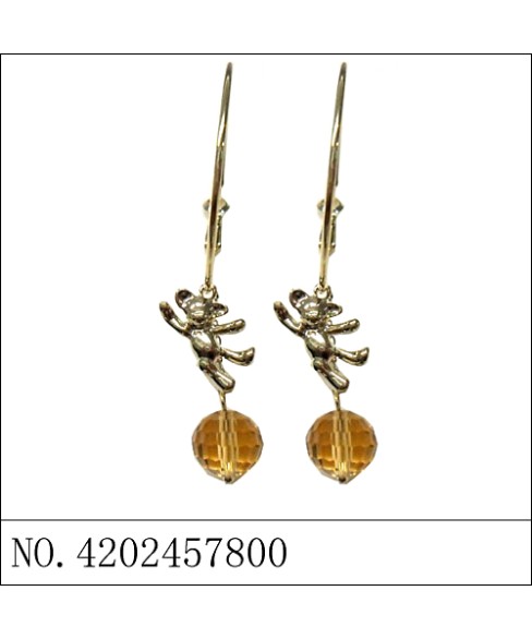 Earrings Brown