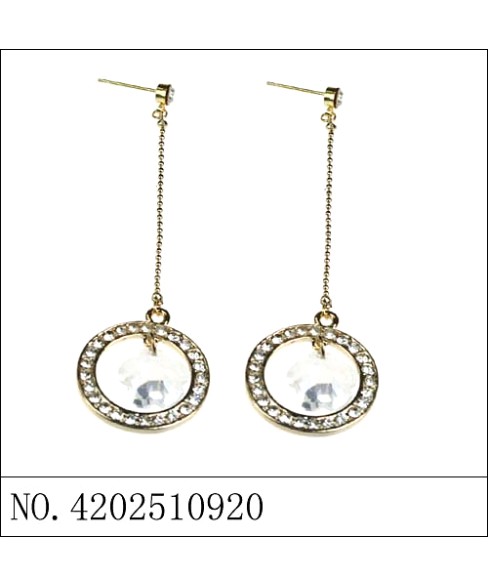 Earrings Earrings