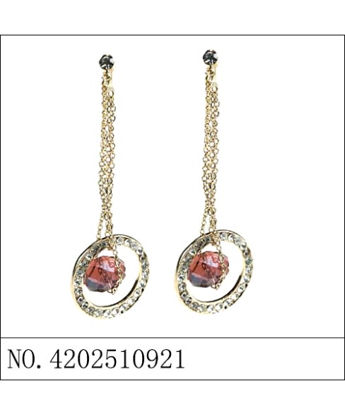 Earrings Earrings