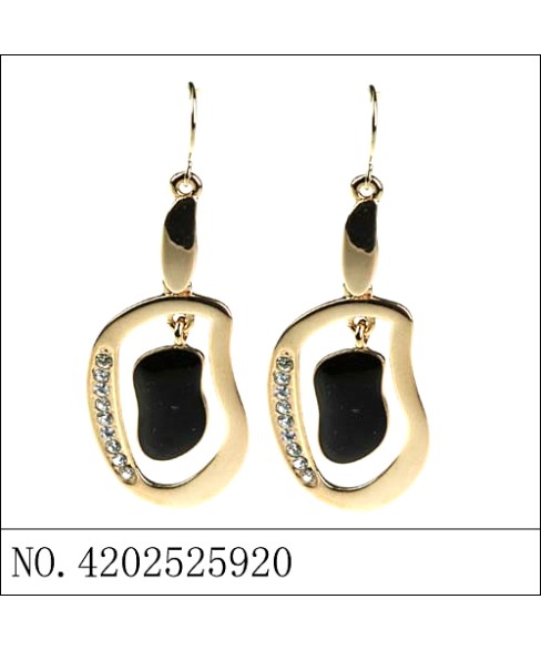 Earrings Earrings