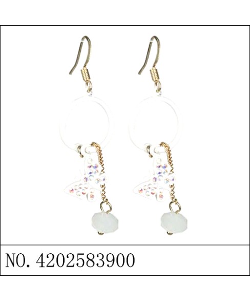 Earrings Earrings