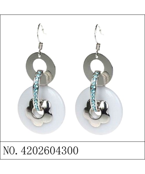 Earrings Earrings