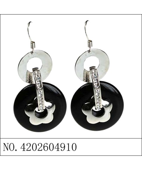 Earrings Earrings