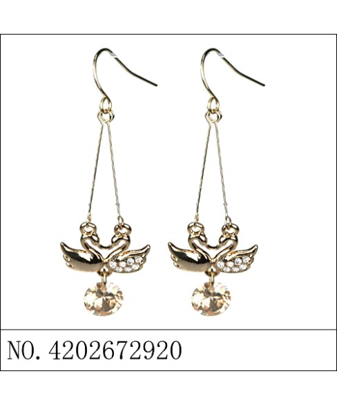 Earrings Earrings