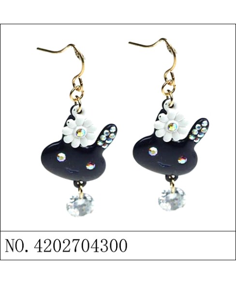 Earrings Earrings