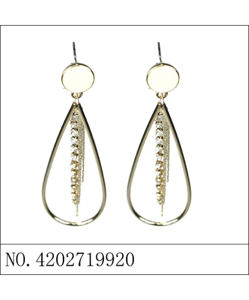 Earring Earring